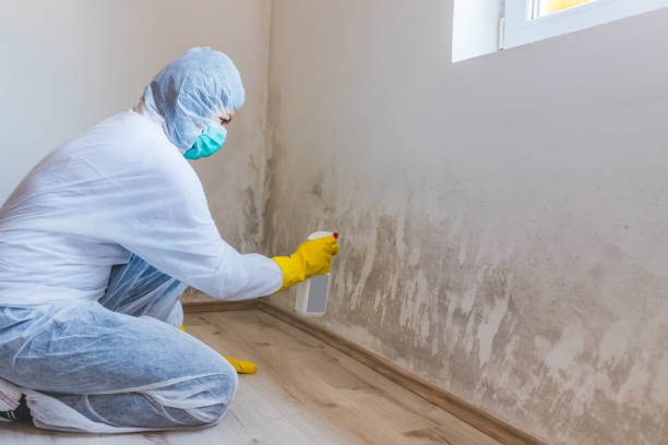 Hvac And Air Duct Mold Remediation inspection of HVAC system in Cheyney