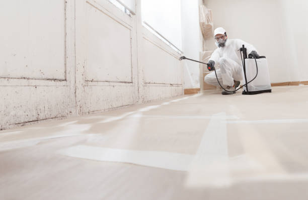 Black mold remediation team in Cheyney